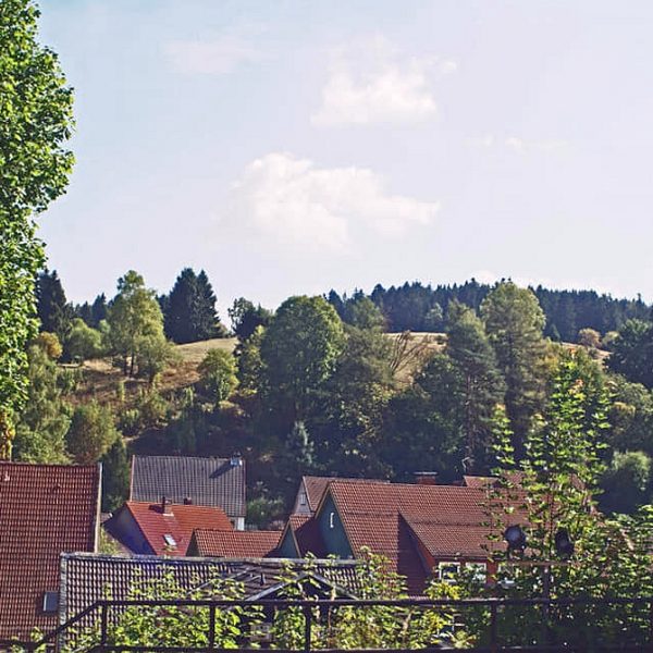Harzbilder Altenau