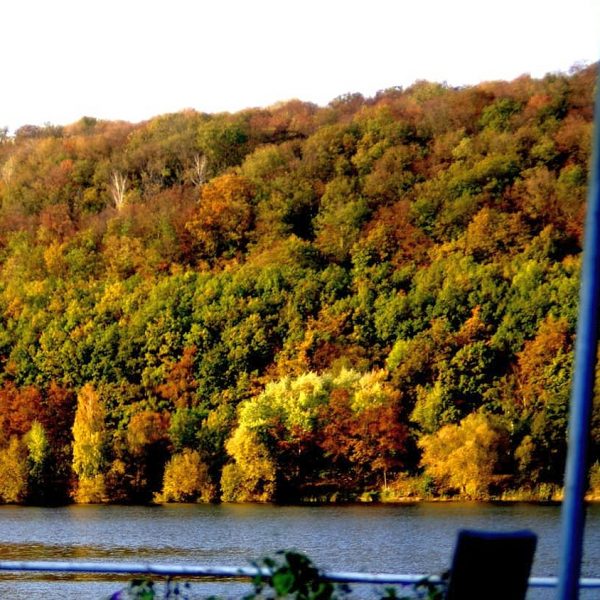 Herbst am Vienenburger See