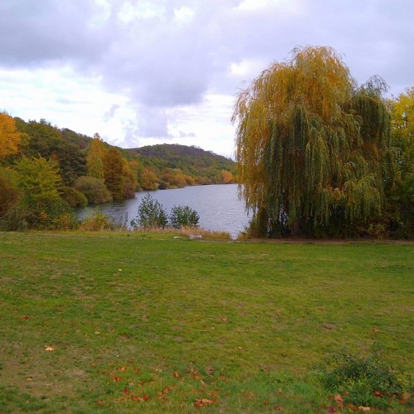 Vienenburger See