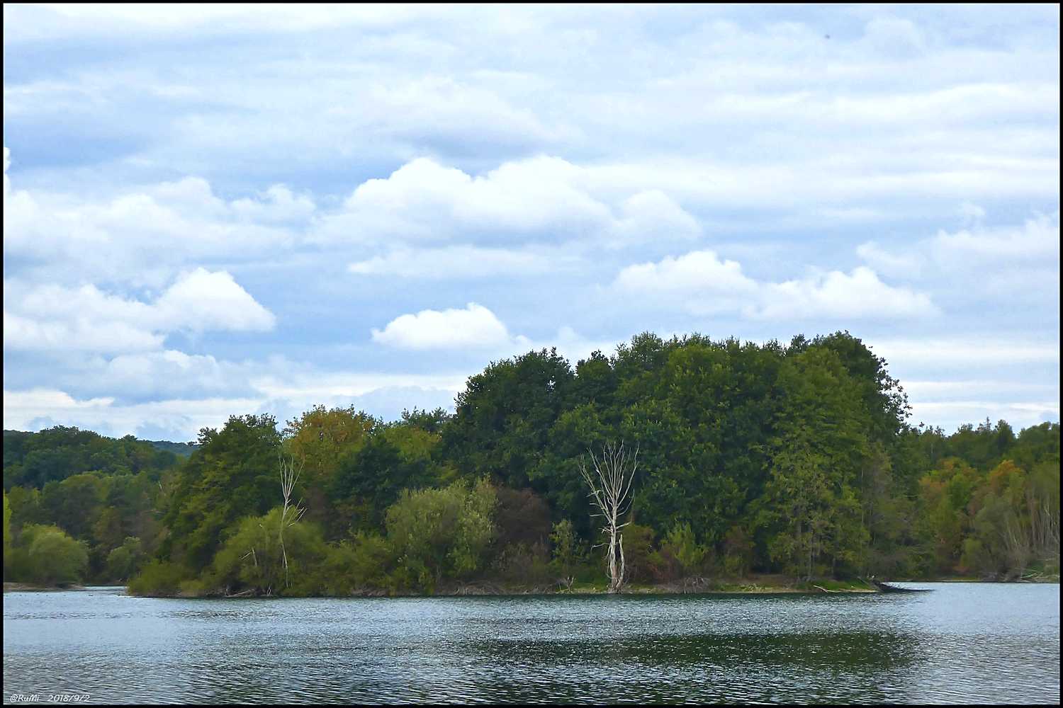 Vogelinsel