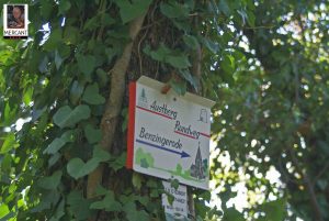 Wandern