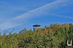 Austbergturm