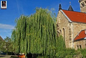 Kirchturm