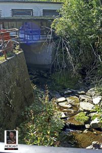 Altenau