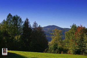 Heimberg