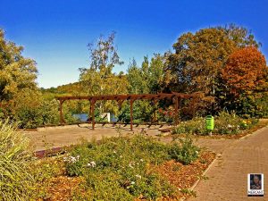 Rosarium