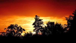 Sonnenaufgang