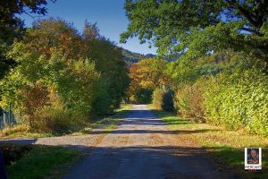 Gatterweg