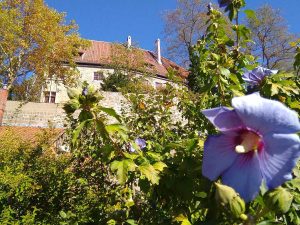 Fachwerkstädtchen