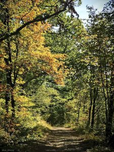  Wanderweg
