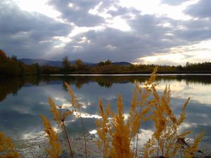 Teich