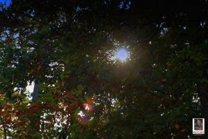 Natur