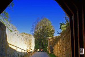 Burgruine Regenstein