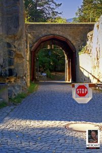 Burgruine Regenstein