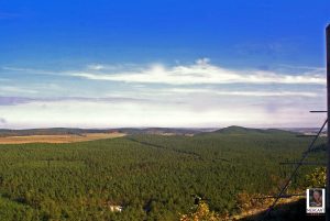 Natur