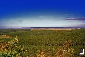 Natur