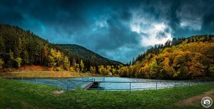 Herzberger Teich