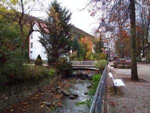 Radau