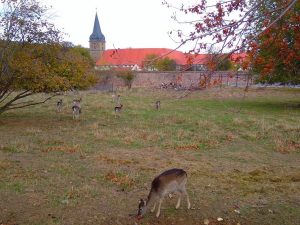 Klostergut