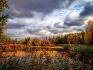 Natursee
