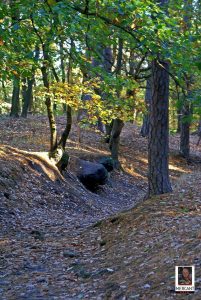 Sandhöhlen