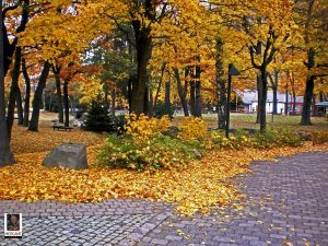 Kurpark