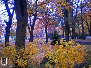 Kurpark