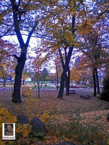 Kurpark