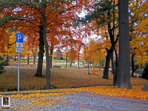Kurpark