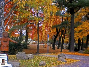 Kurpark