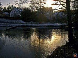 Teich