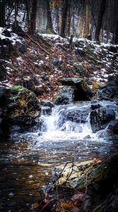 Riefenbachtal 