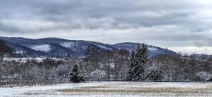 Harz