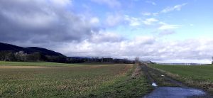 Lichtblicke