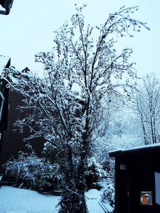 Aprilwetter