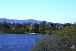 Vienenburg