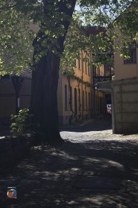 Naumburg