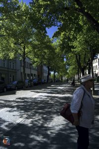 Naumburg