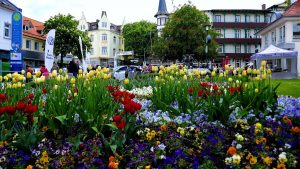 Bad Harzburg