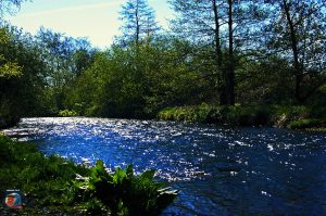 Okerfluss