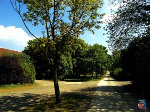 Grauhof
