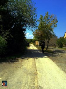 Grauhof