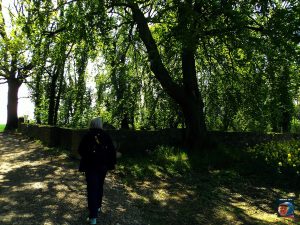 Grauhof