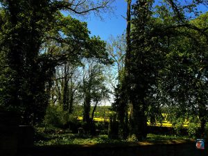 Grauhof