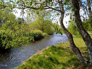 Okerfluss