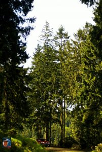 Jungfernklippe