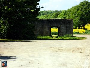 Grauhof