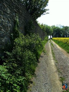 Grauhof