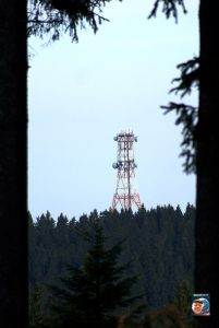SchalkerTurm