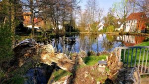 Schlewecke